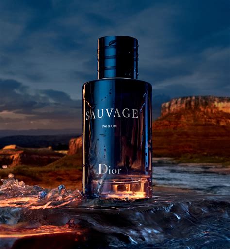 dior sauvagz|dior sauvage best price.